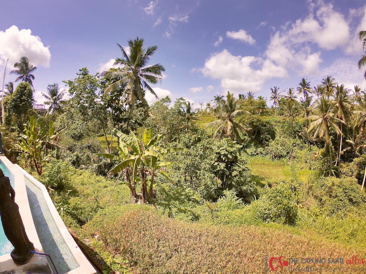 Capung Sakti Villas Ubud  Exterior photo