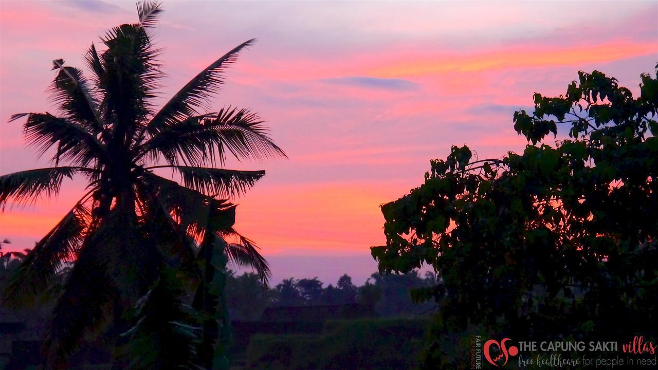 Capung Sakti Villas Ubud  Exterior photo